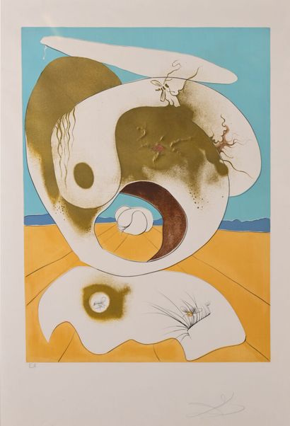 After Salvador DALI (1904-1989)
The conquest...