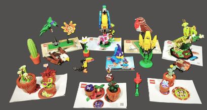 LEGO: BIRDS, FLOWERS AND INSECTS
- Parrot...