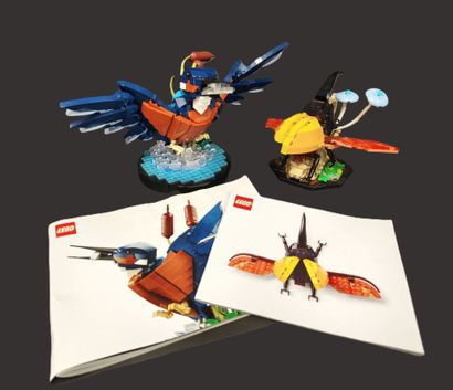 LEGO : ANIMALS
- the kingfisher
32 x 20 x...