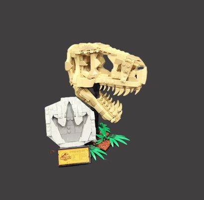 LEGO : FOSSILS
- Jurassic World - H 22 cm
-...