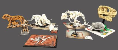 LEGO : FOSSILS
- Jurassic World - H 22 cm
-...