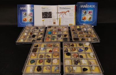 Set of five trays of twenty minerals and...