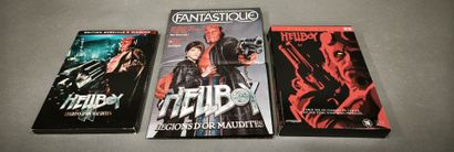 HELLBOY - Seeds of Destruction
1 figurine...