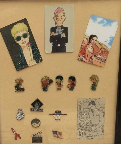 LUCKY LUKE
2 boards containing 27 pins
Enclosed:...