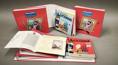 LA LICORNE - TINTIN, HADDOCK
maquette en...