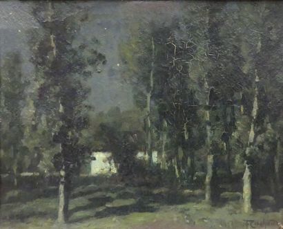 François CACHOUD (1866 -1943) 
Les peupliers...