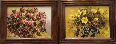 Marcel WIBAULT (1904-1998) 
Fleurs des montagnes...