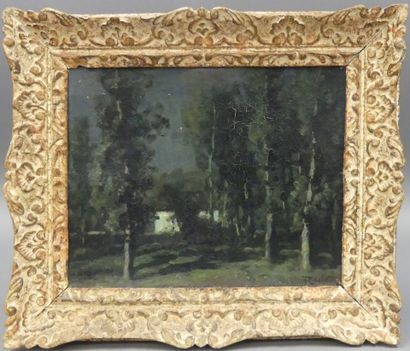 François CACHOUD (1866 -1943) 
Les peupliers...