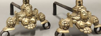 Pair of ormolu andirons, 18th century
H....