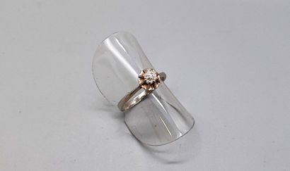 Ring in white gold (750) set with a small...