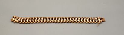 American link bracelet in 18K (750) yellow...