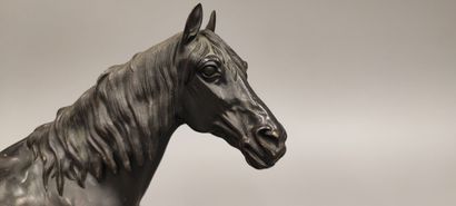 Pierre-Jules MÊNE (1810-1879). Ibrahim Horse
Bronze...