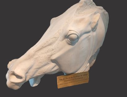 Copy by G. ULDERIGO. Horse's head from the...