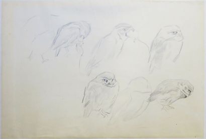 Xavier de PORET (1894-1975). Study of an...