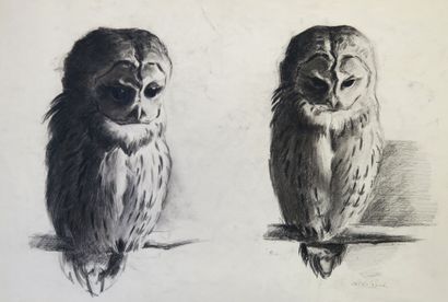 Xavier de PORET (1894-1975). Study of an...