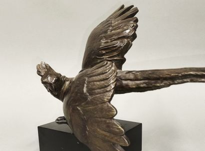 Alexandre KELETY (1900-1940). Parrot on black...