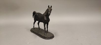 Pierre-Jules MÊNE (1810-1879). Ibrahim Horse
Bronze...