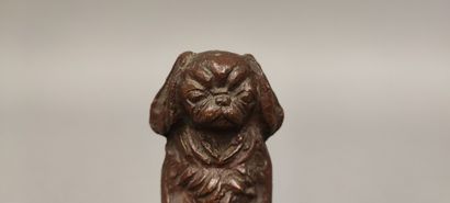 HARF (20th century). Pekingese doing the...