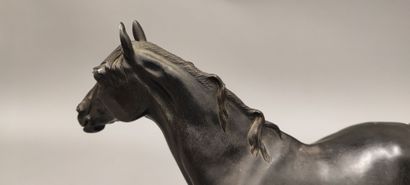 Pierre-Jules MÊNE (1810-1879). Ibrahim Horse
Bronze...
