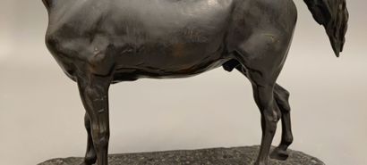 Pierre-Jules MÊNE (1810-1879). Ibrahim Horse
Bronze...