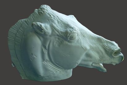 Copy by G. ULDERIGO. Horse's head from the...