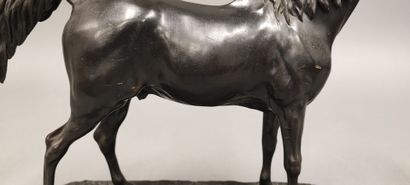 Pierre-Jules MÊNE (1810-1879). Ibrahim Horse
Bronze...