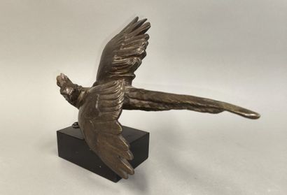 Alexandre KELETY (1900-1940). Parrot on black...