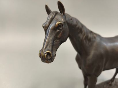 Jules MOIGNIEZ (1835-1894). Cheval
Epreuve...