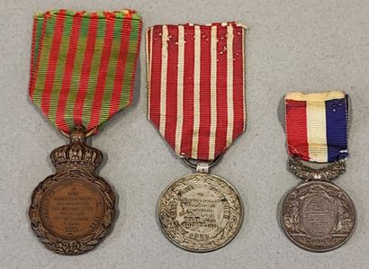 Médaille Napoléon Ier Ile de Sainte Hélène...