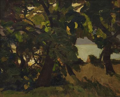 Joseph COMMUNAL (1876 - 1962). Les grands...