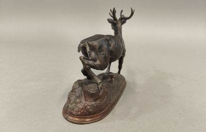 Jules MOIGNIEZ (1835-1894). Cerf
Epreuve...