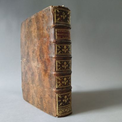 [CHASOT DE NANTIGNY (Louis)]. Les généalogies...