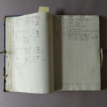 [Manuscript]. [Viticulture. Bourgogne]. LIVRE...