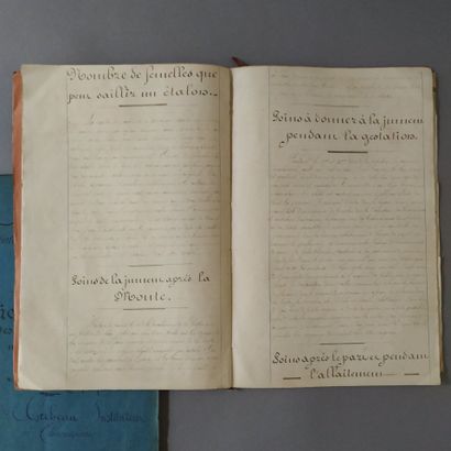 [Manuscript]. [Zoology. Burgundy]. Set of...