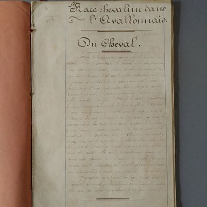 [Manuscript]. [Zoology. Burgundy]. Set of...
