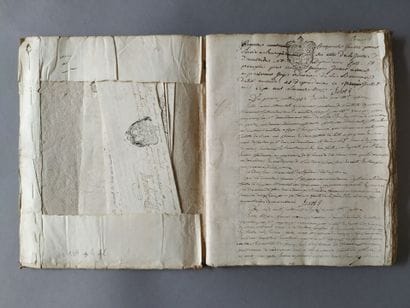 [Manuscript]. [Anstrude]. REGISTRE de la...