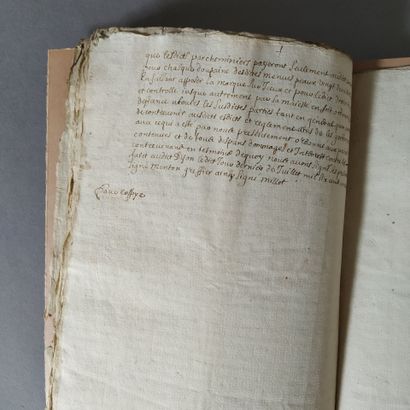 [Manuscript]. [Mégisserie. Bourgogne]. Copy...