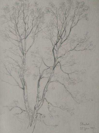 [Drawing. Burgundy]. GUILLON (Adolphe)
Set...