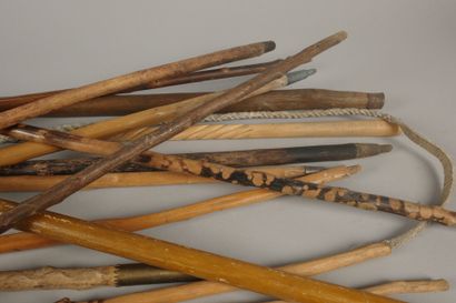 Set of canes, mainly bentwood, ice-axe cane,...
