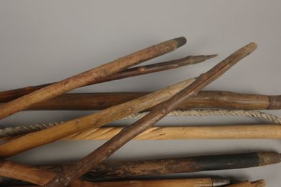 Set of canes, mainly bentwood, ice-axe cane,...