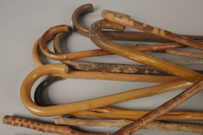 Set of canes, mainly bentwood, ice-axe cane,...