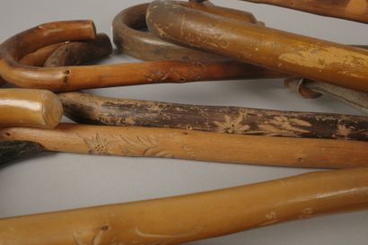 Set of canes, mainly bentwood, ice-axe cane,...