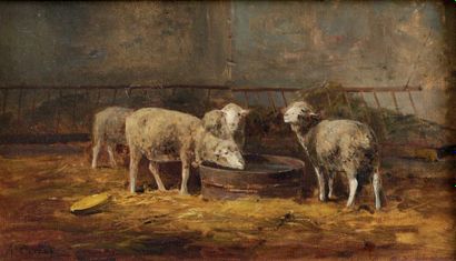 André CORTES (né en 1855- ?)
Agneaux à l'abreuvoir...