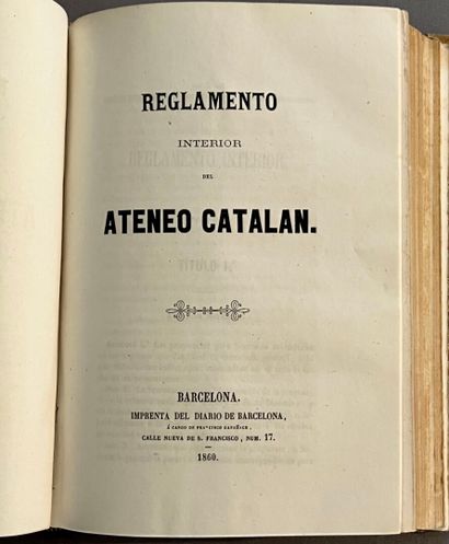 [Spain (Articles of Incorporation and Bylaws)]....