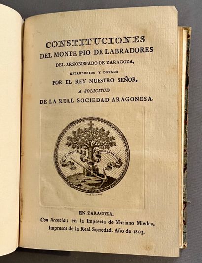 [Spain (Articles of Incorporation and Bylaws)]....