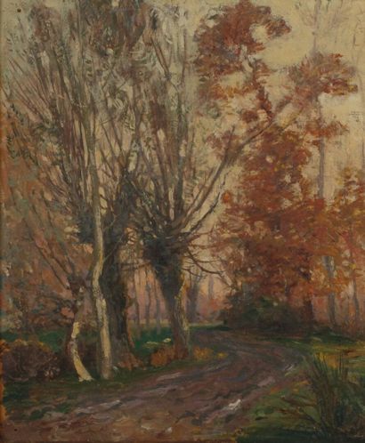 Early 20th century school. Autumnal wood
Oil...