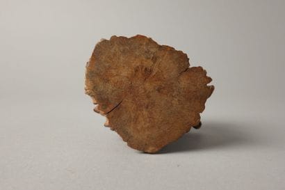 A finely carved boxwood match holder featuring...