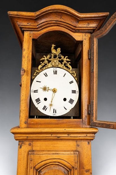 Molded walnut floor clock, enameled dial...