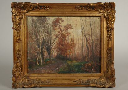 Early 20th century school. Autumnal wood
Oil...