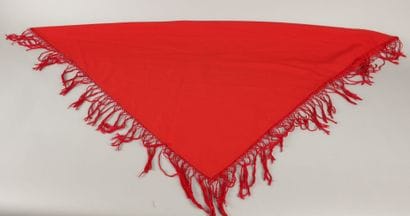 Red wool scarf with embroidered floral design
100...